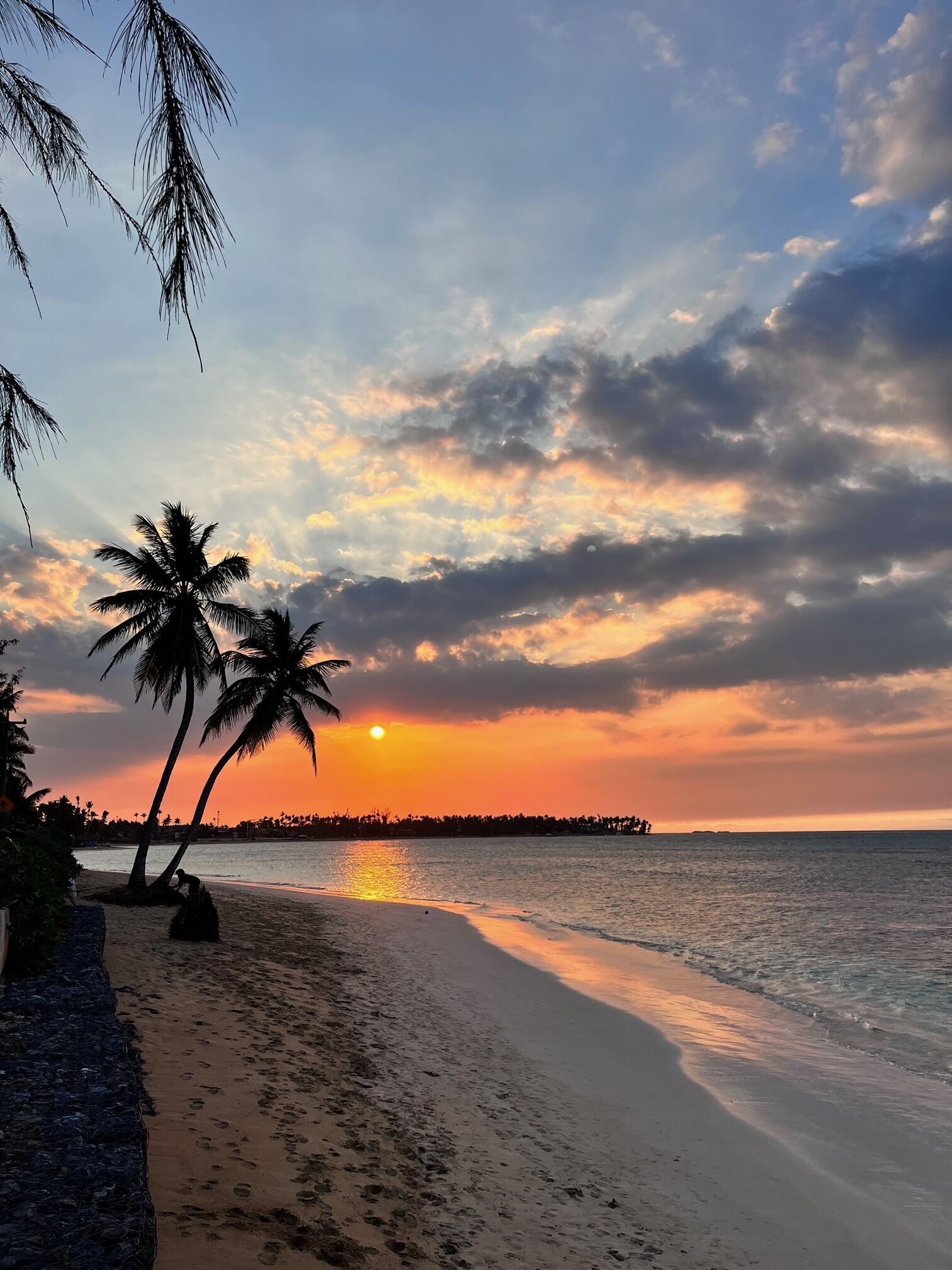 Une plage bordée de palmiers, avec un coucher de soleil.