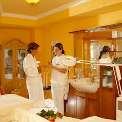 Sauna seca, banheira de hidromassagem, sauna a vapor