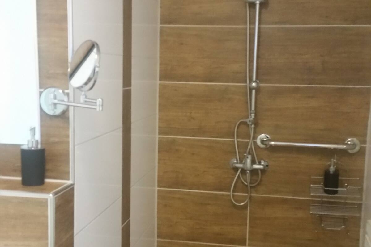 double room, private bathroom | bathroom shower