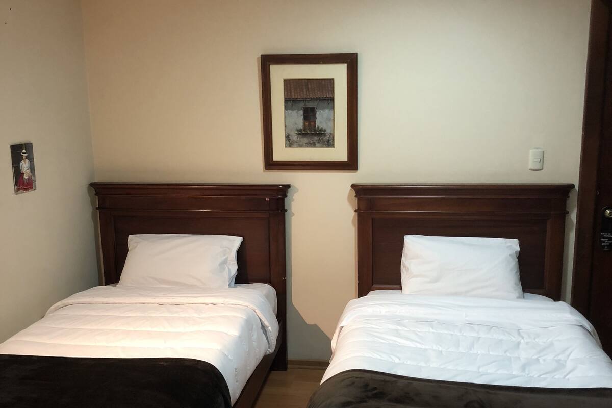Sábanas de algodón egipcio, ropa de cama de alta calidad y cubrecamas