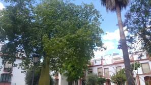 Vista desde la propiedad