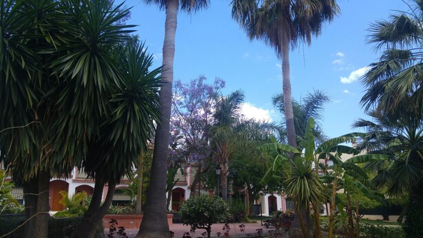 A courtyard with tall palm trees, a building with arched doorways, and a clear blue sky. - Hospederia V Centenario (Estepona)