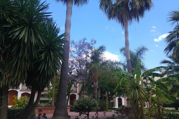 Vista desde la propiedad