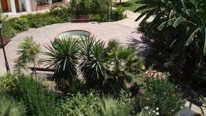 A courtyard with a pool, surrounded by palm trees and various plants. - Hospederia V Centenario (Estepona)