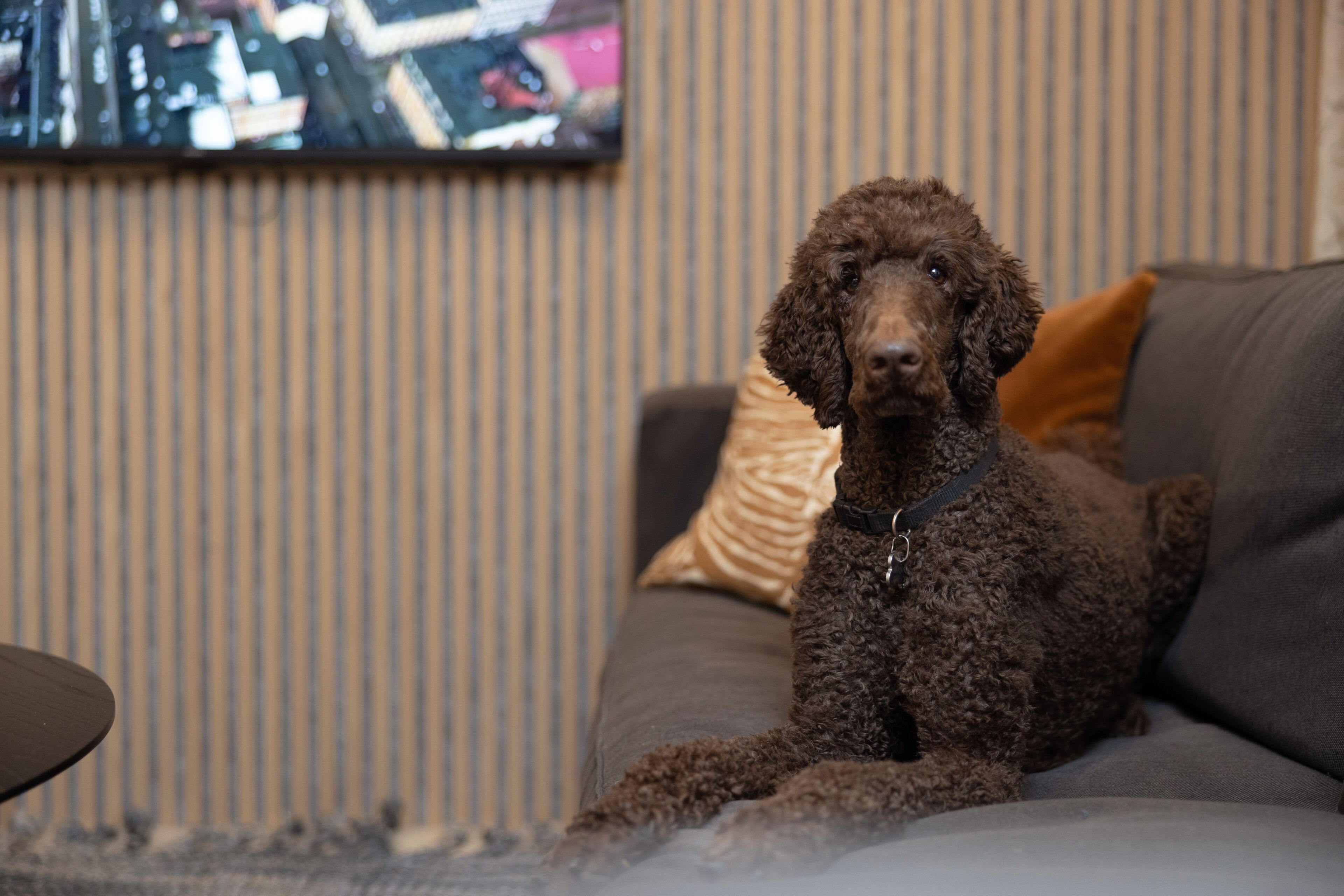 32-inch flat-screen tv with cable channels, tv