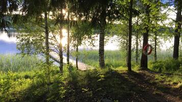 Une zone boisée avec une promenade en bois menant à un lac, le tout étant entouré d’arbres et de verdure.