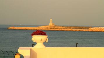 Vista dalla struttura