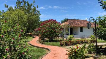 Business Bungalow, 1 King Bed, Kitchen, Garden View | 2 bedrooms, premium bedding, minibar, individually decorated