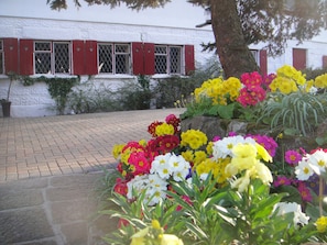 Exterior - Undercliff Guest House (Trinity)