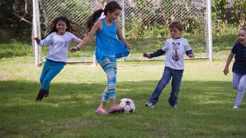 A grassy area with a soccer goal and a fence.