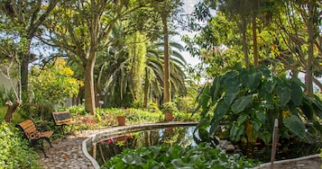 Ăreas de la propiedad