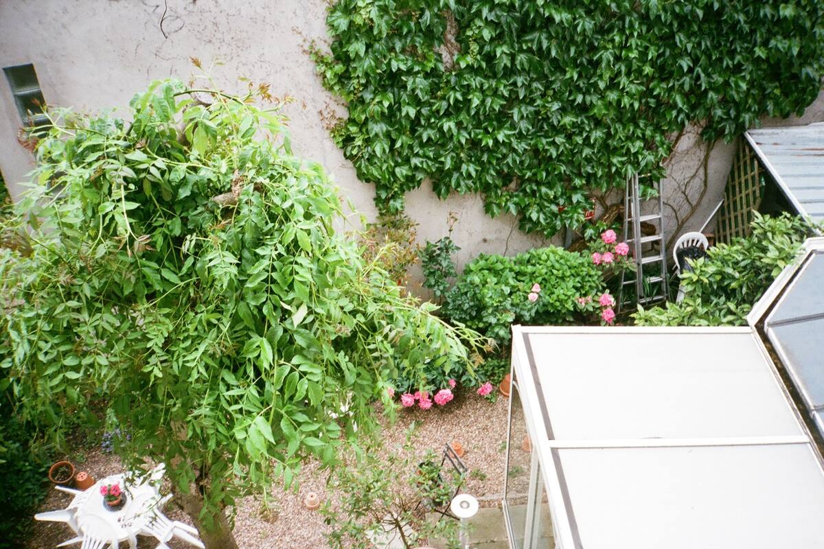 Standard Double Room | Garden view