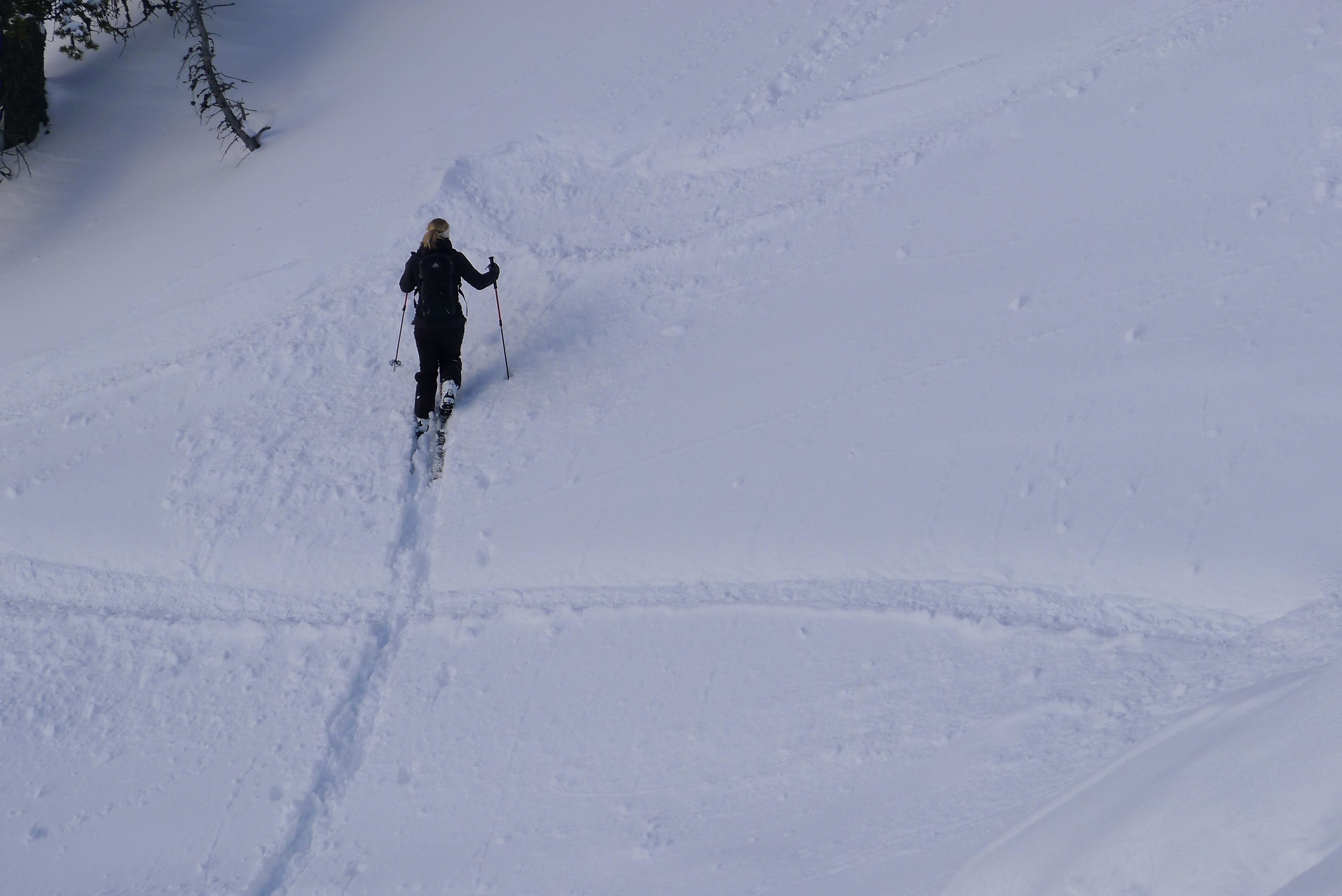 A person skiing down a snowy slope.