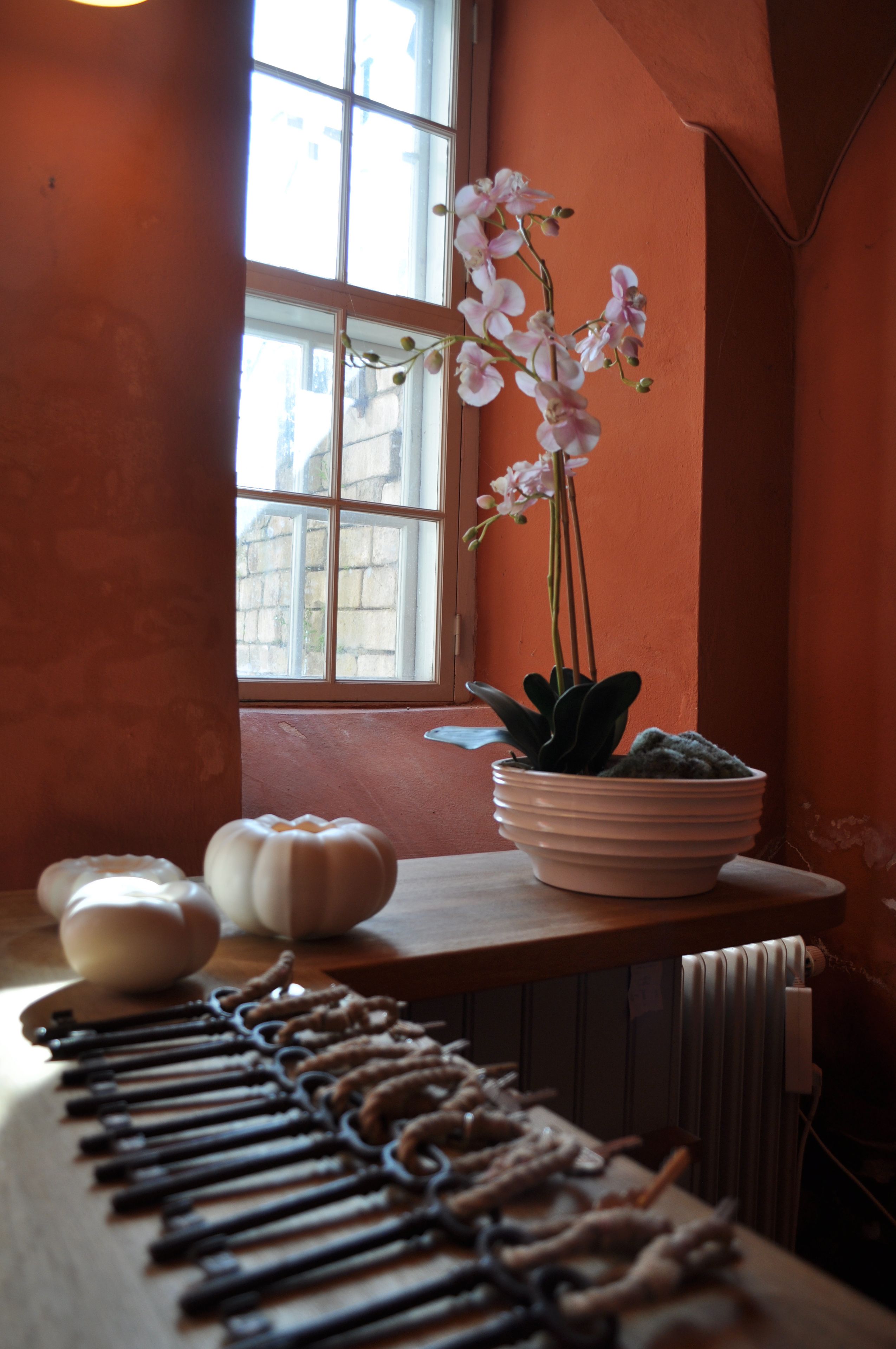 Una orquídea en maceta sobre una mesa de madera, con una ventana al fondo.
