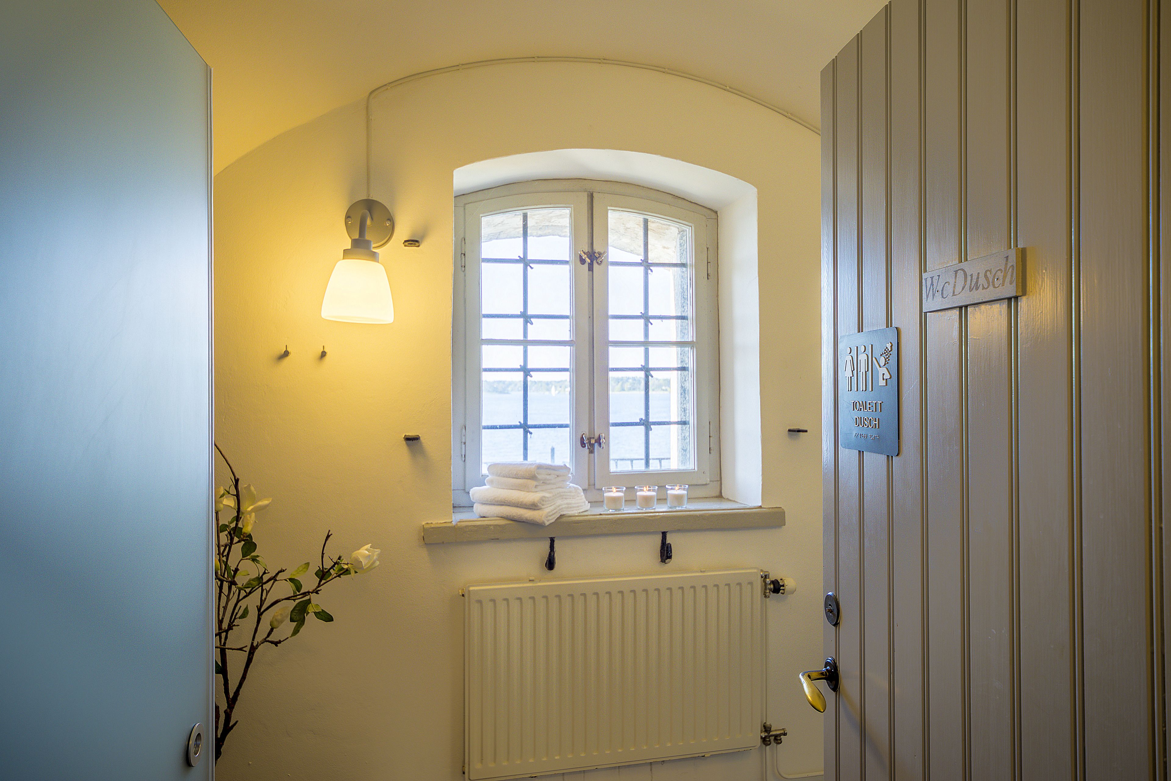 A bathroom with a window, a radiator, and a towel rack.