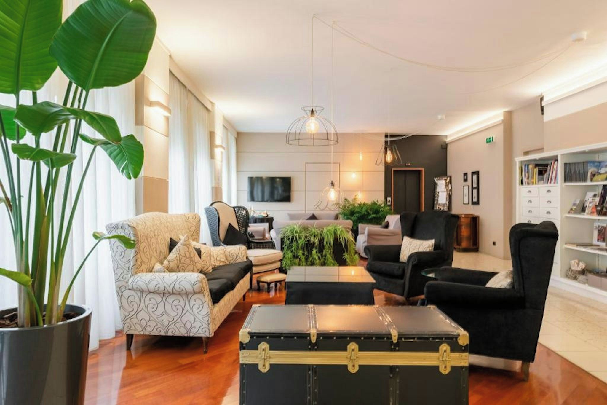 A modern living room with a sofa, armchairs, a coffee table, and a large potted plant.