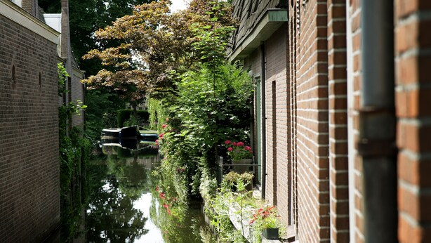 Un canal étroit, bordé de bâtiments en briques, avec un arbre et des fleurs le long de la rive.