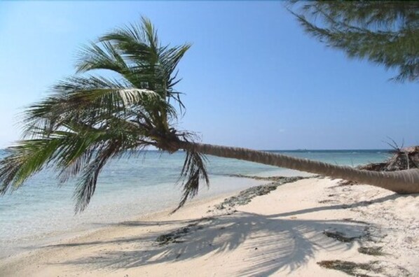 Na praia, espreguiçadeiras, toalhas de praia, massagens na praia 