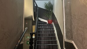 A staircase with a handrail, a potted plant, and a wall with framed pictures. - Au Chapon Fin (Poitiers)