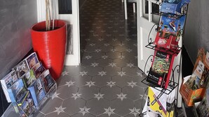 A hallway with a potted plant, a red pot, and a display rack with books and magazines. - Au Chapon Fin (Poitiers)