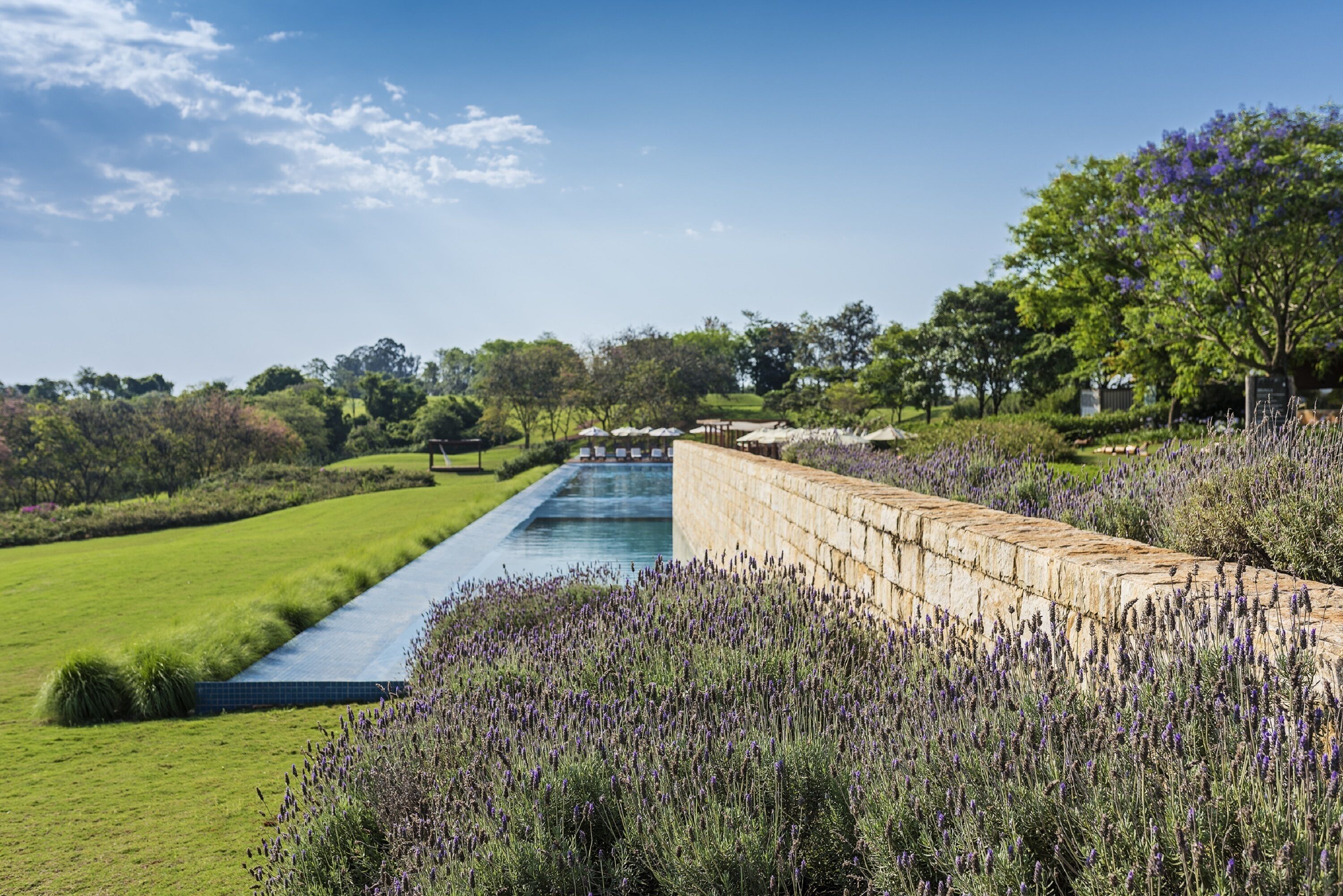 A landscaped garden with a water feature, stone walls, and lavender bushes.