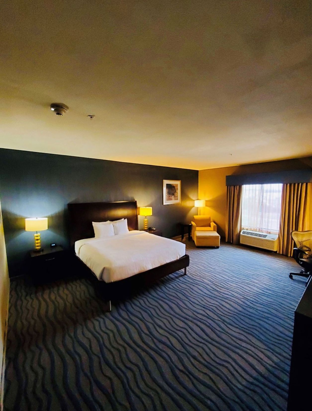 Premium bedding, in-room safe, iron/ironing board, WiFi