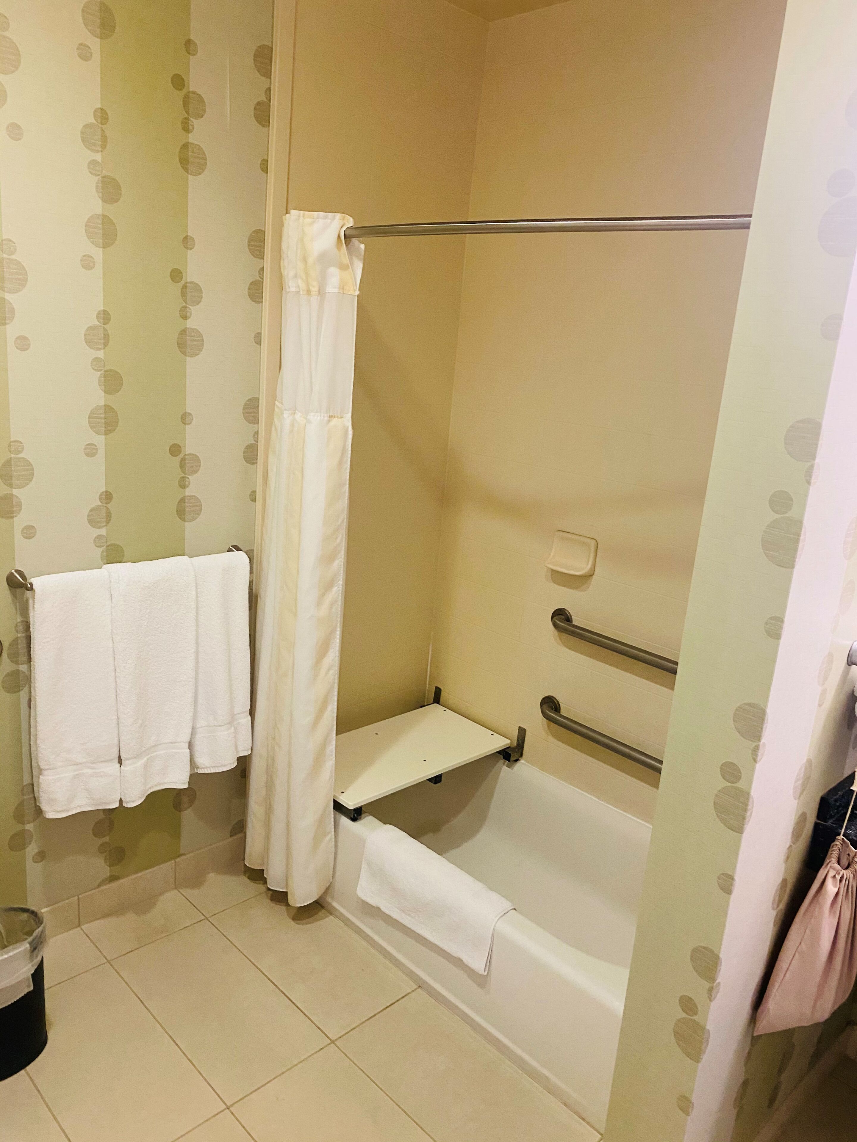 Une salle de bain avec une douche, un porte-serviettes et des toilettes.