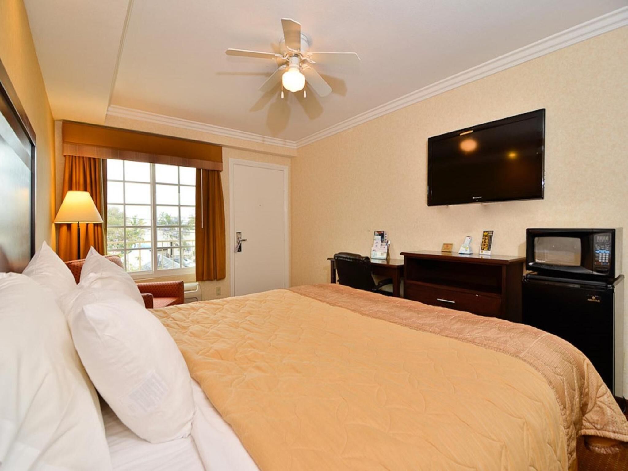 A hotel room with a bed, a desk, a television, and a ceiling fan.