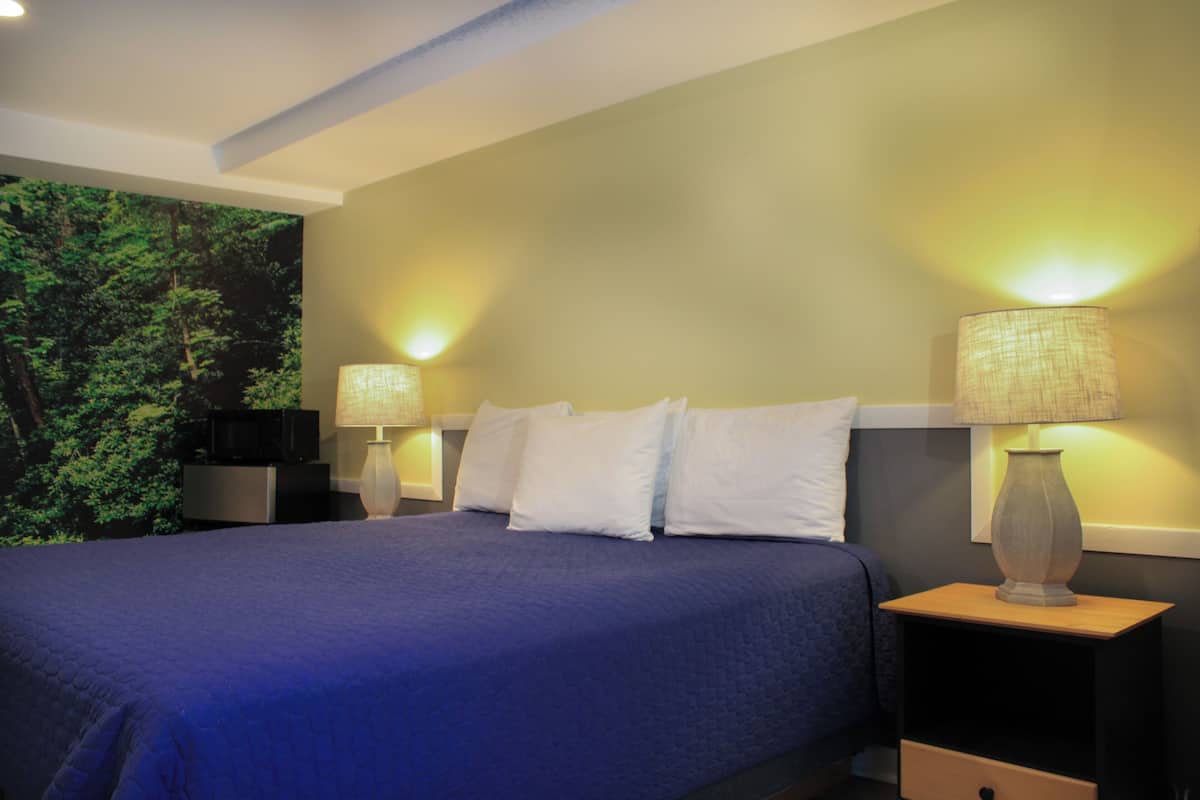 Standard Room, King Bed, Non Smoking, Private Bathroom (Dog Friendly) | 熨斗/熨板、免费 WiFi、闹钟、特色装修