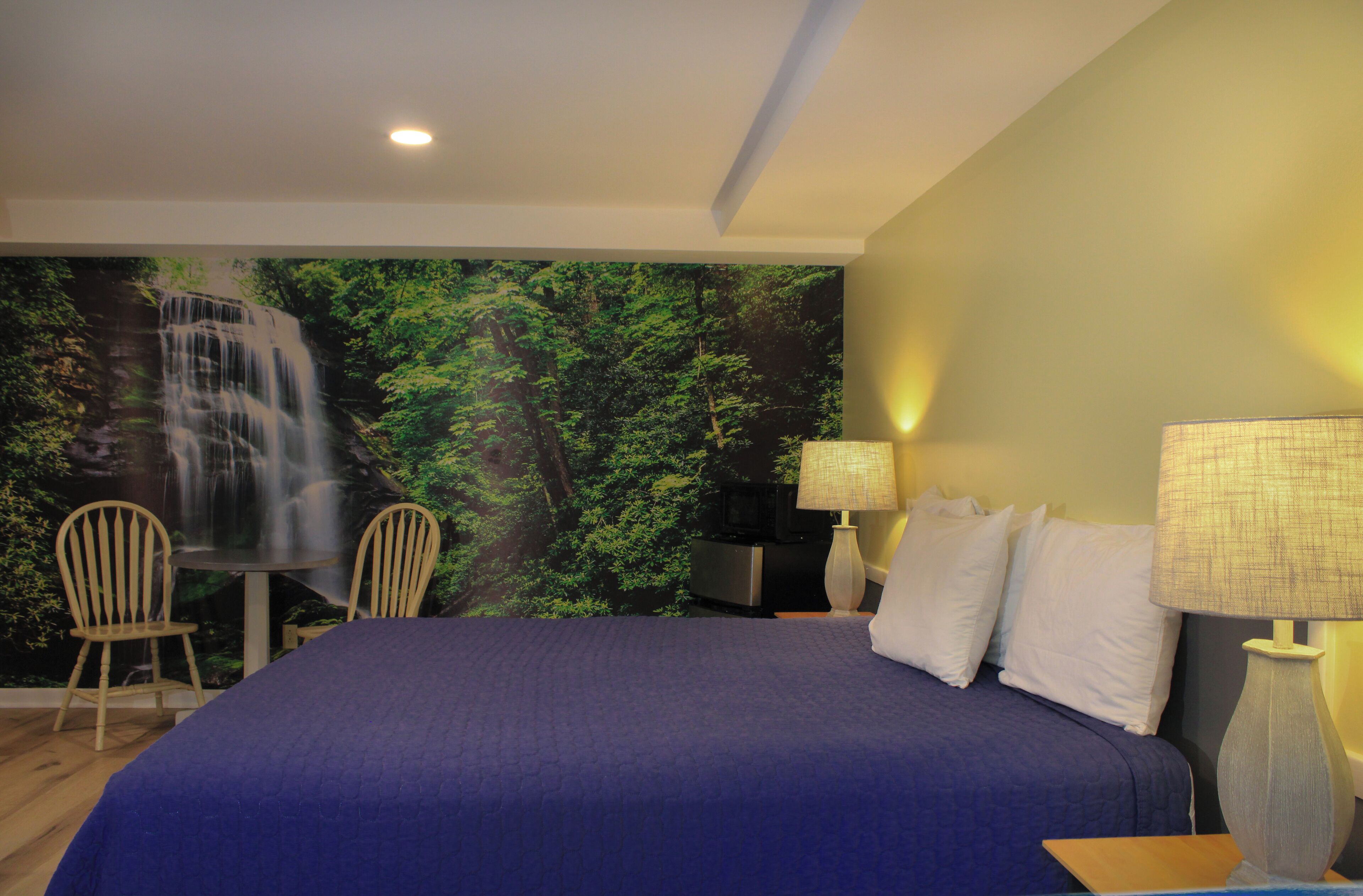 Standard Room, King Bed, Non Smoking, Private Bathroom (Dog Friendly) | Ferros/tábuas de passar roupa, Wi-Fi de cortesia, roupa de cama