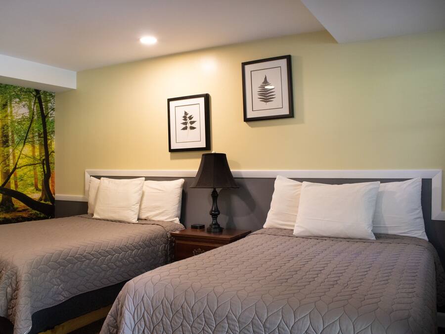 Kamar Standar, 2 Tempat Tidur Double, Bebas Asap Rokok, kamar mandi pribadi (Dog Friendly) | Setrika/meja setrika, Wi-Fi gratis, dan jam alarm