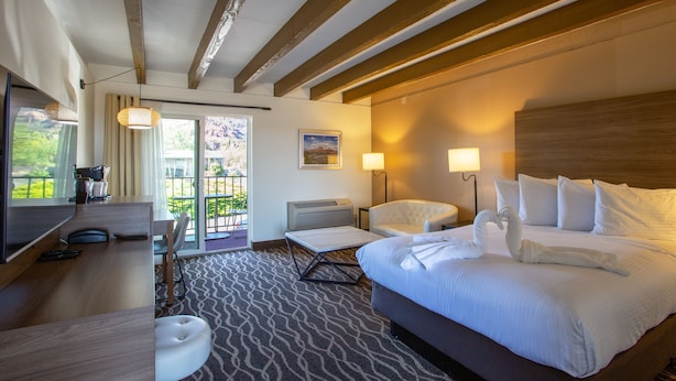 Camera d'albergo con un letto grande, una scrivania, una sedia, una TV e un balcone con vista sul verde.