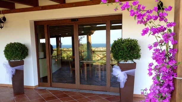 Un patio techado con vista al mar, con dos plantas en macetas y una enredadera morada con flores.