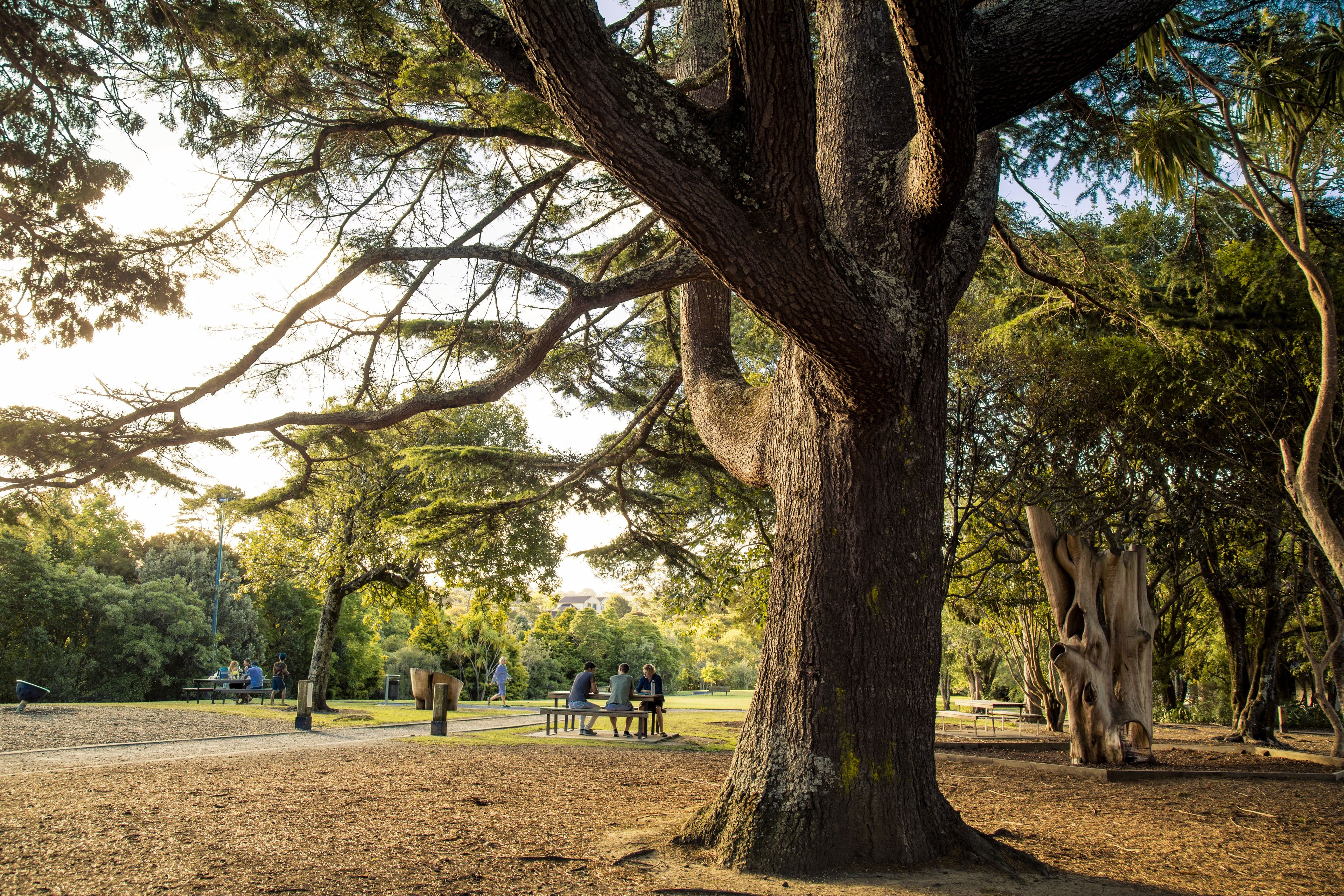A park with a large tree, benches, and people sitting.