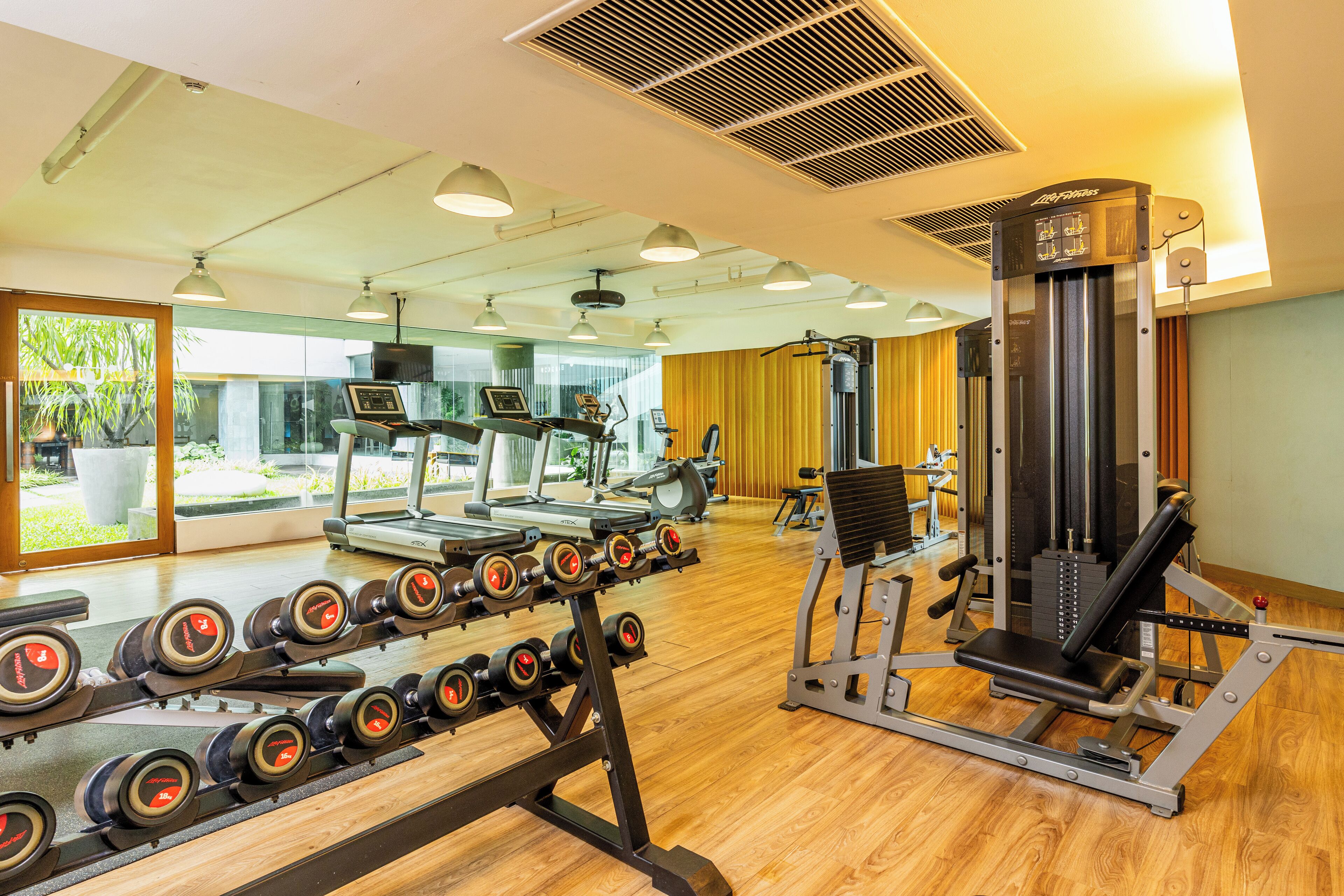 Un gimnasio con cintas de correr, mancuernas y máquinas de pesas.