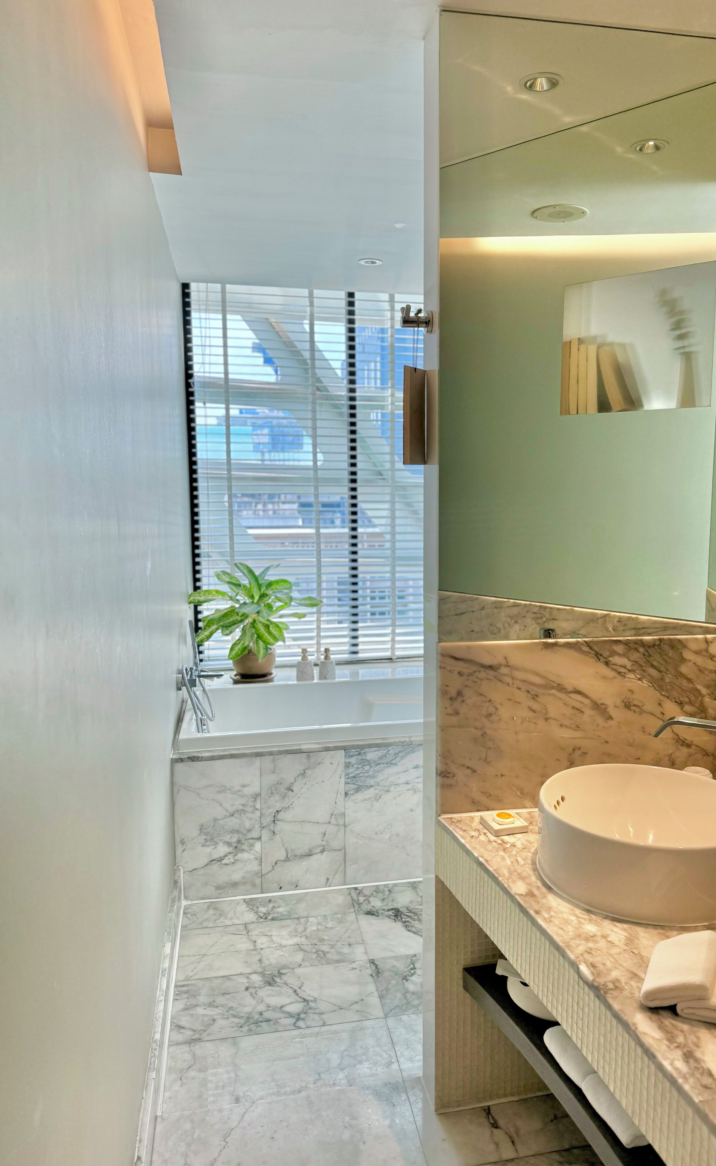 deluxe room (different degree room) | bathroom | separate bathtub and shower, deep-soaking bathtub, designer toiletries