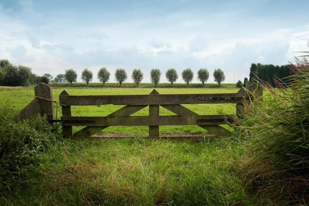 A rustic wooden gate in a grassy field with trees in the background.