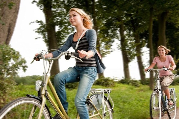 Dos personas andando en bicicleta por un sendero bordeado de árboles.