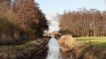 A narrow waterway flanked by dense trees and grassy banks.