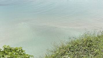 Plage à proximité, sable blanc, navette pour la plage, 2 bars de plage