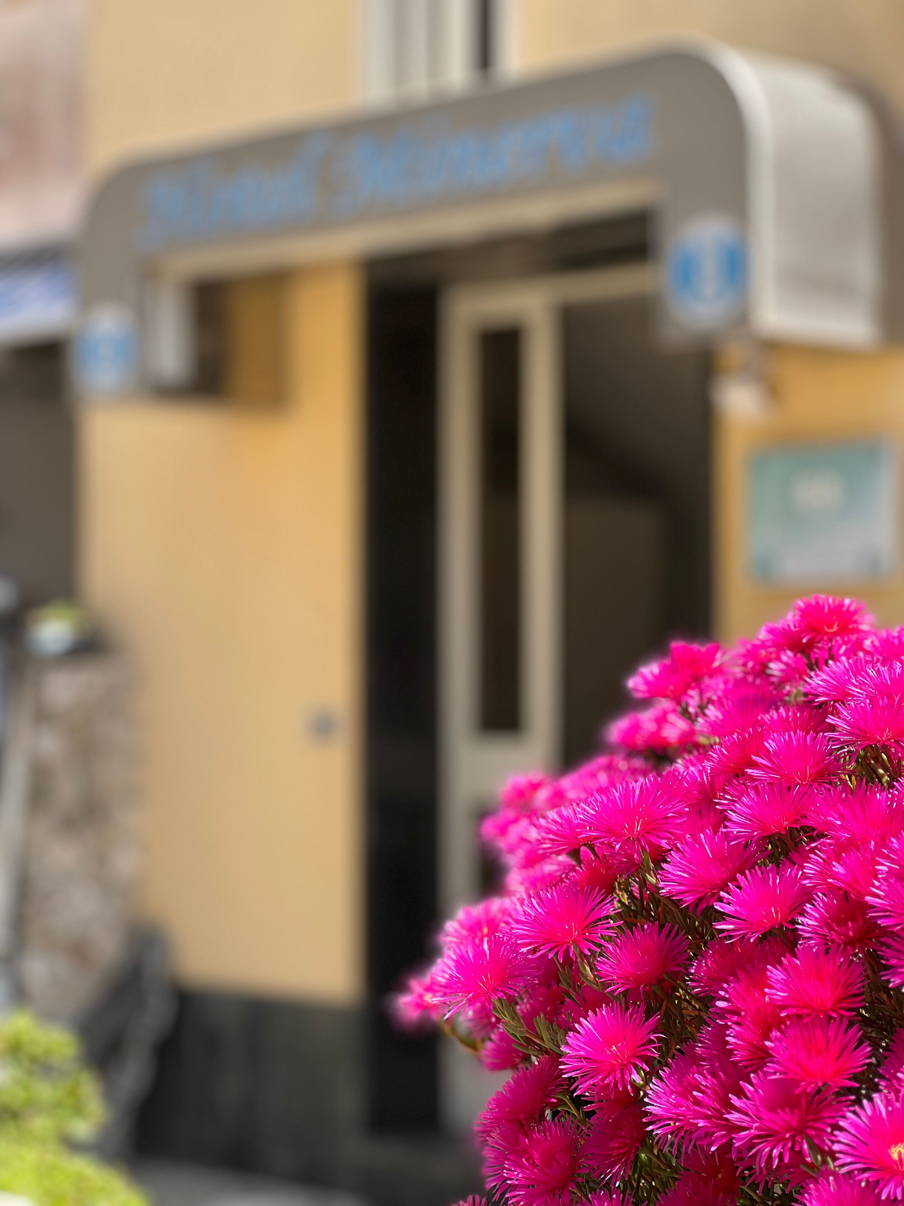 Foto - Hotel Minerva
