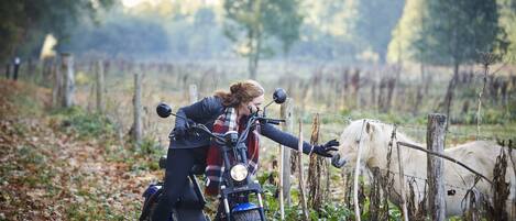 Una persona en un patinete en un entorno rural con un caballo y una valla.