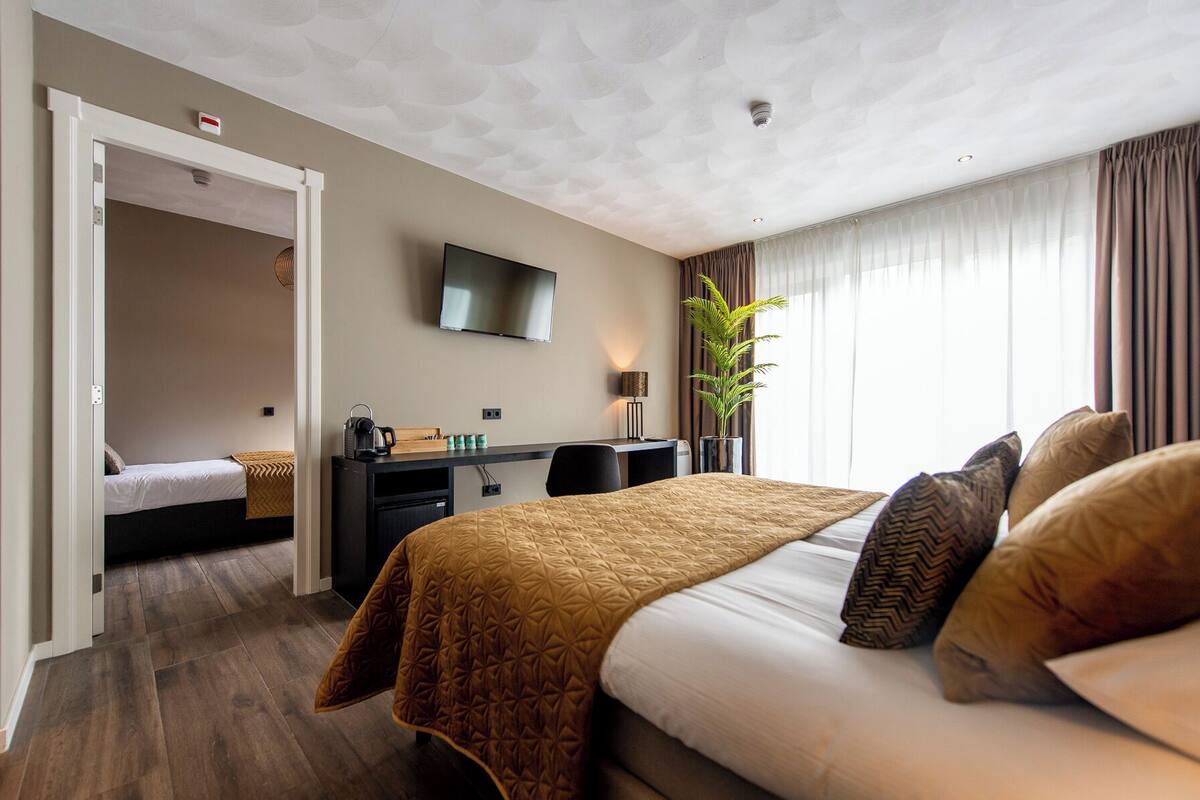 Une chambre d’hôtel avec un lit, un bureau, une télévision et une plante.