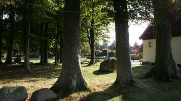 Un parco con alberi alti, un sentiero e un edificio con tetto rosso.