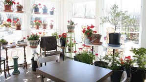 Une pièce baignée de lumière, avec une table en bois, des chaises et diverses plantes en pot.