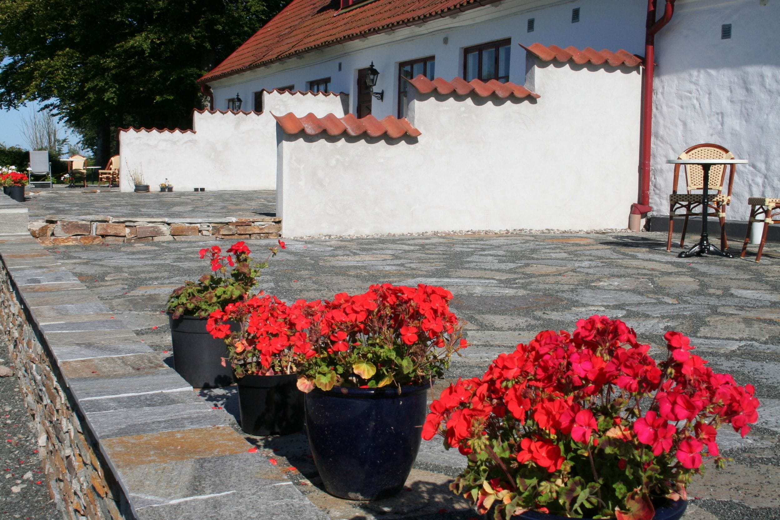 Ein weißes Gebäude mit rotem Ziegeldach und einem Innenhof aus Steinplatten. Im Vordergrund stehen rote Blumen in Töpfen.