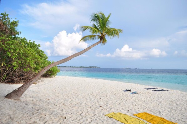 بالقرب من الشاطئ، رمال بيضاء، مظلات الشاطئ، مناشف للشاطئ