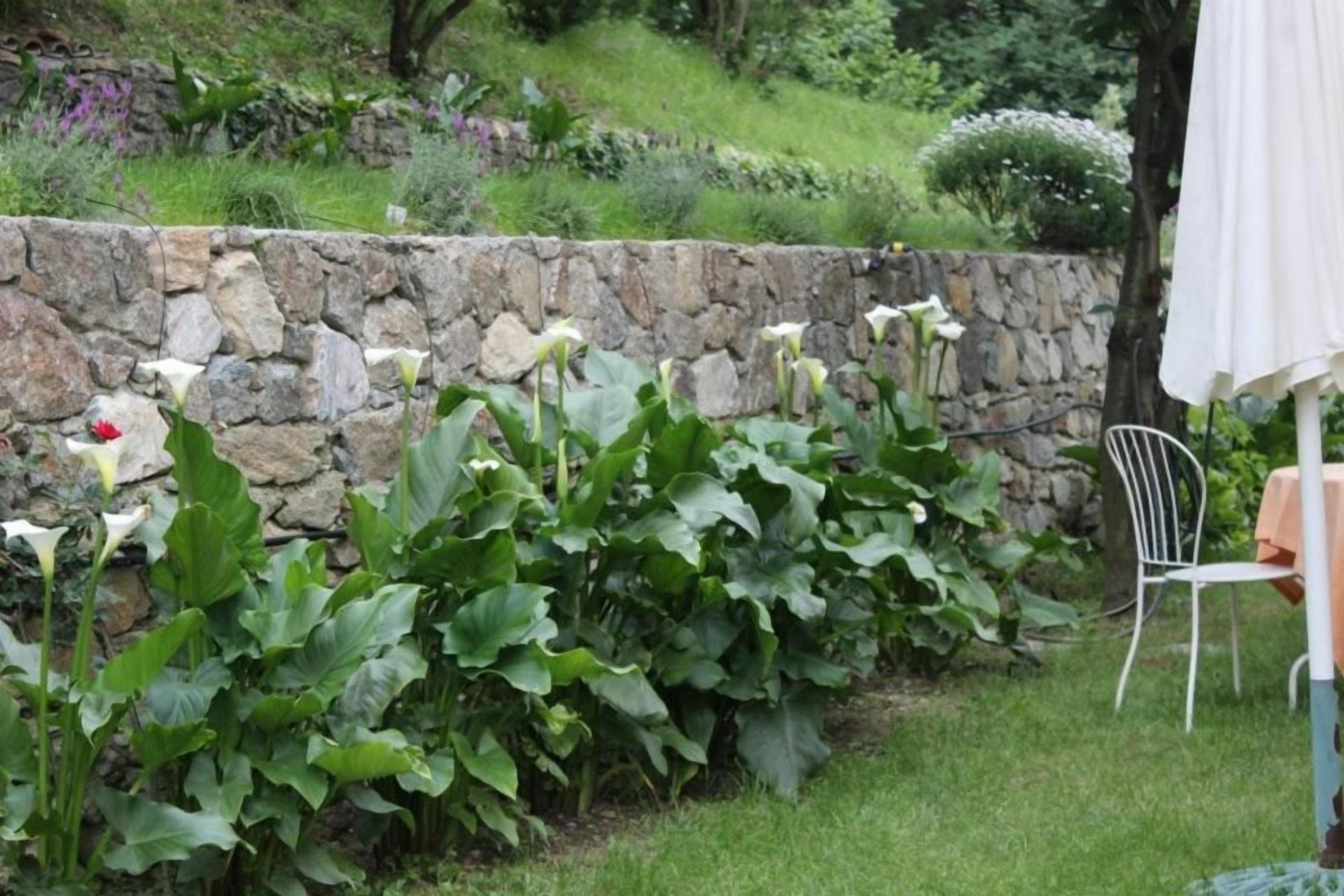 Eine steinerne Mauer mit üppiger Vegetation und einem weißen Stuhl.