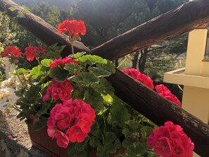 A potted plant with red flowers and green leaves, placed on a balcony with a wooden railing. - Casale Coreallo (Spotorno)