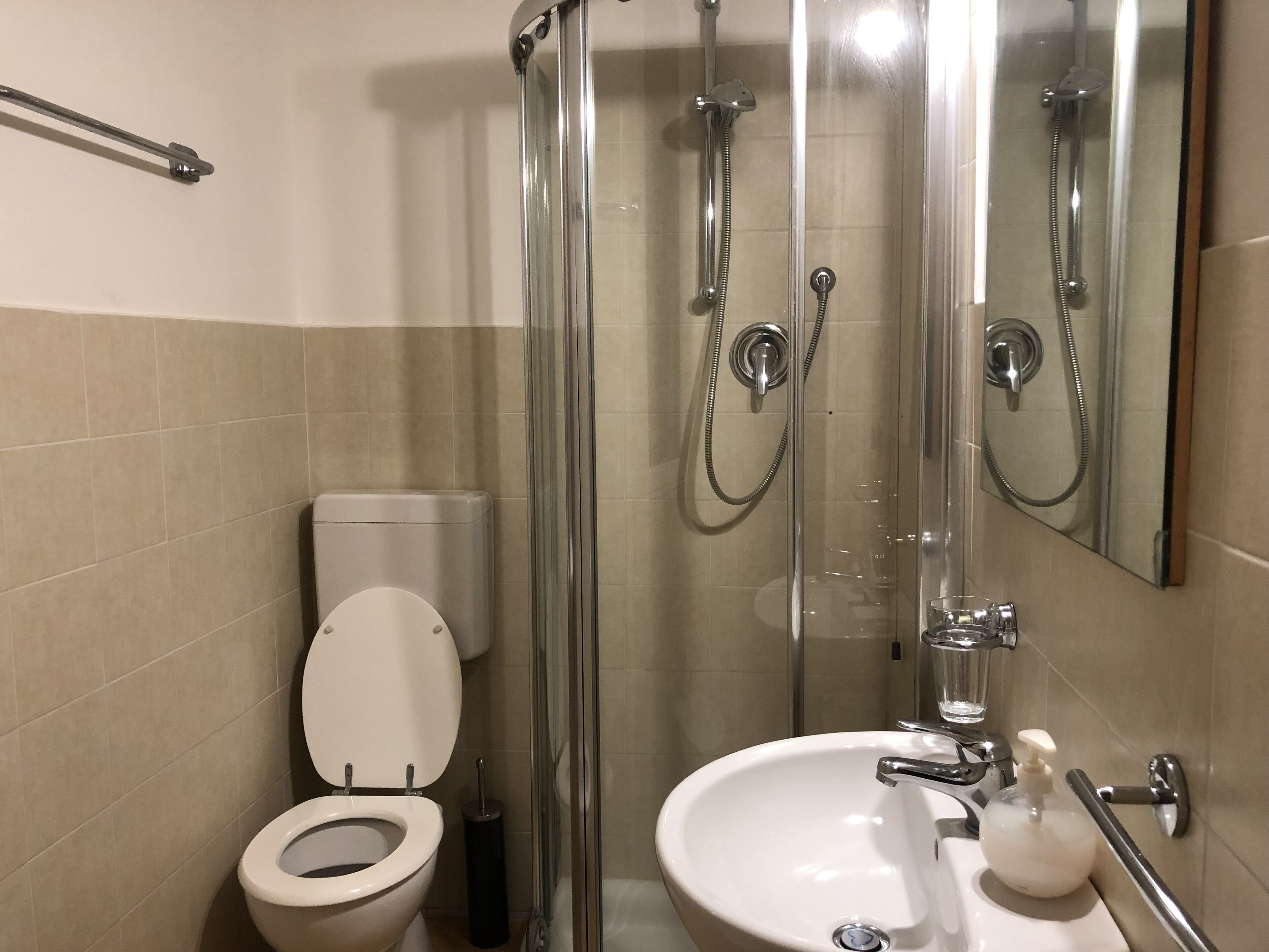 Ein modernes Badezimmer mit Toilette, einer Duschkabine mit Handbrause, einem Waschbecken mit Seifenspender und einem Spiegel.